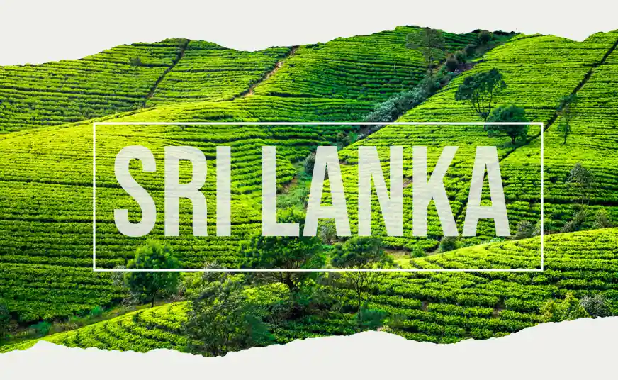 Colombo Sri Lanka