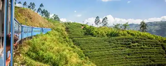 Nuwara Eliya Sri Lanka