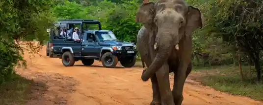 Yala Village Sri Lanka